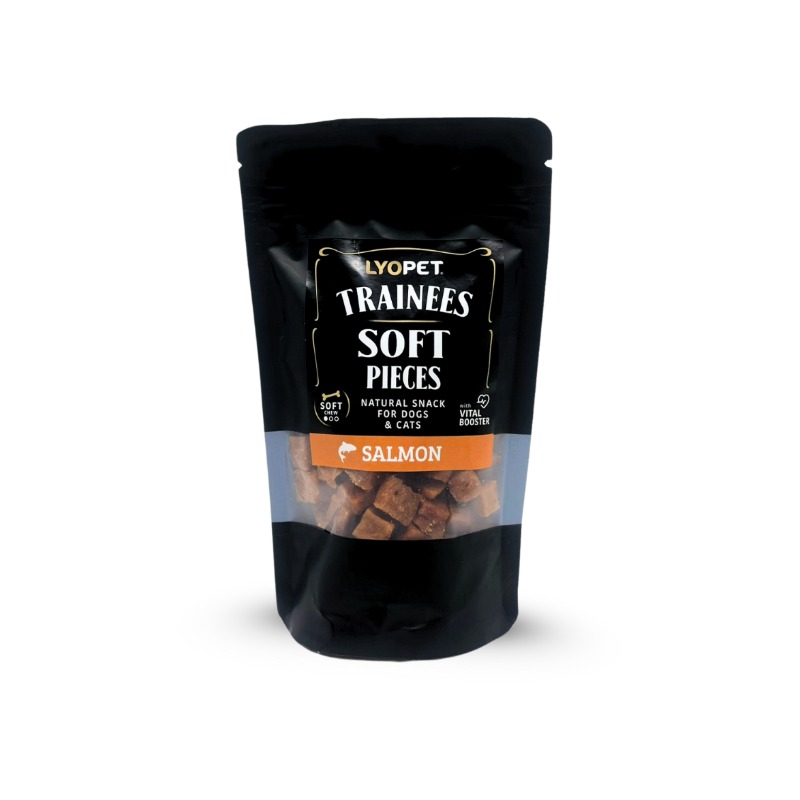 Trainees Snack Soft Pieces Salmon